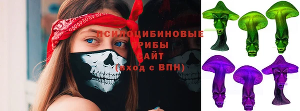 МДПВ Аркадак