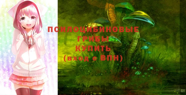 МДПВ Аркадак