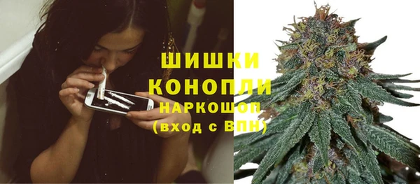 трава Рославль