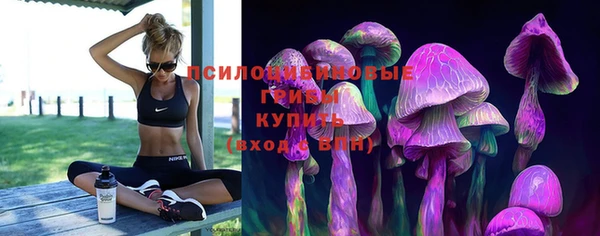 МДПВ Аркадак