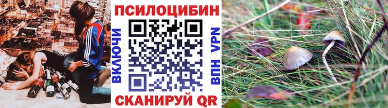 даркнет клад Белозерск Псилоцибиновые грибы MAGIC MUSHROOMS мега зеркало
