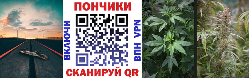 Шишки марихуана индика  купить   Белозерск 